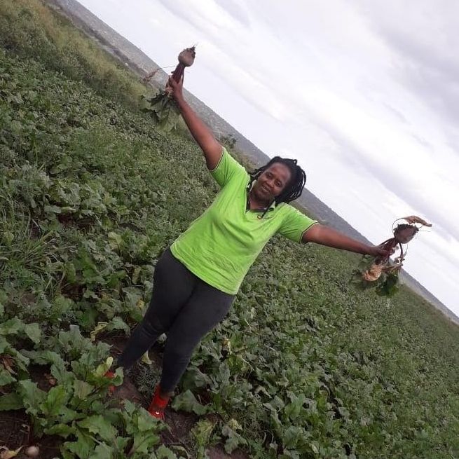 Ma Joye's low-tech system