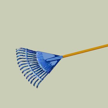 rake