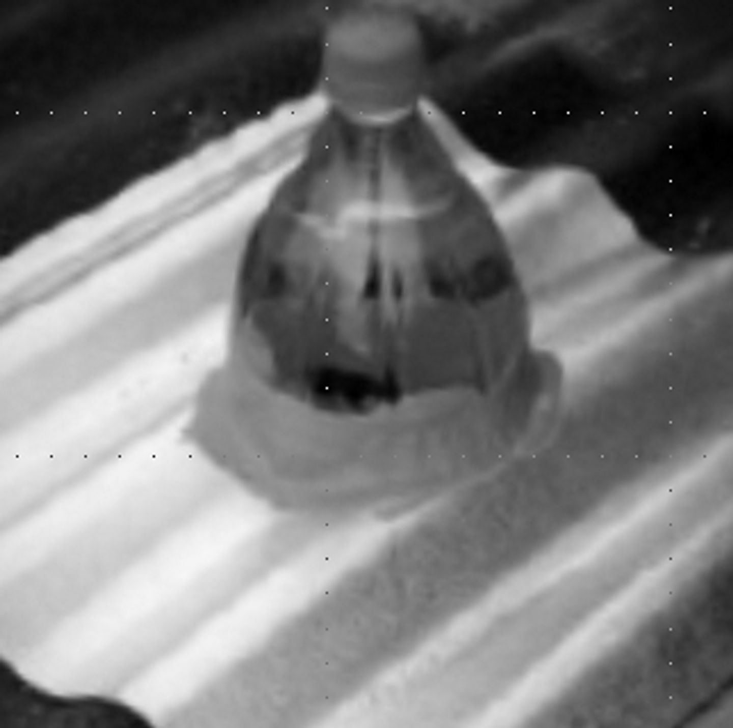 Place the solar bottle bulb into the hole