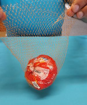 Put the ball in the net