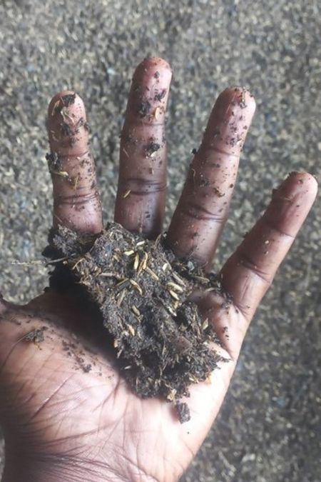 Testing the moisture - mixture stays in shape