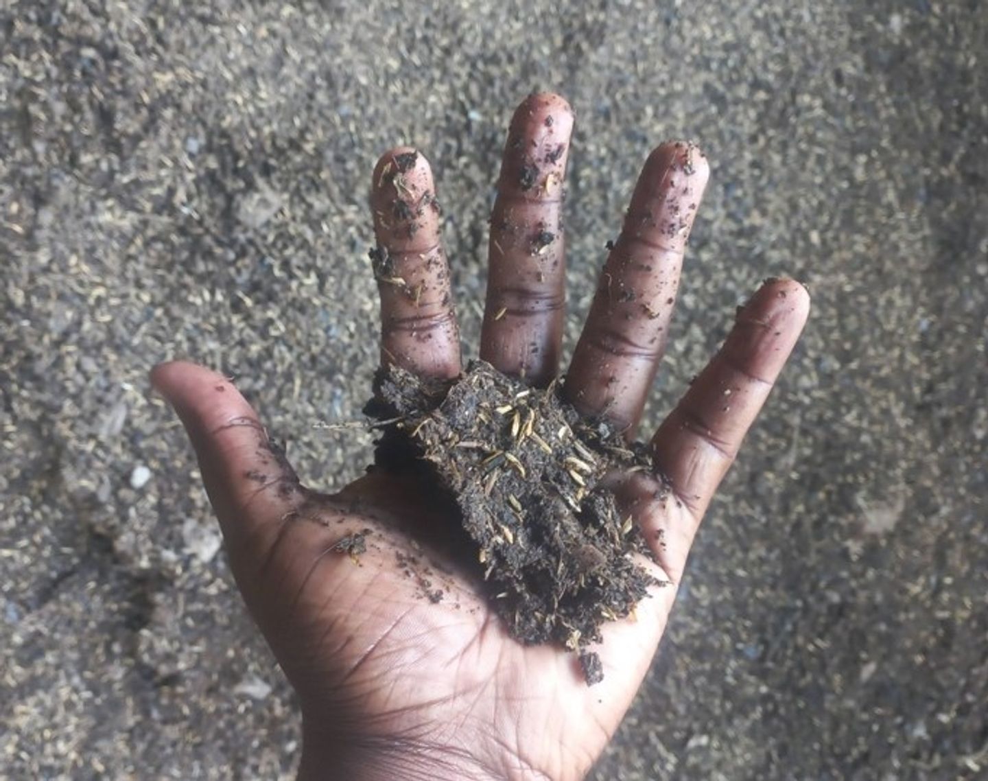 Testing the moisture - mixture stays in shape