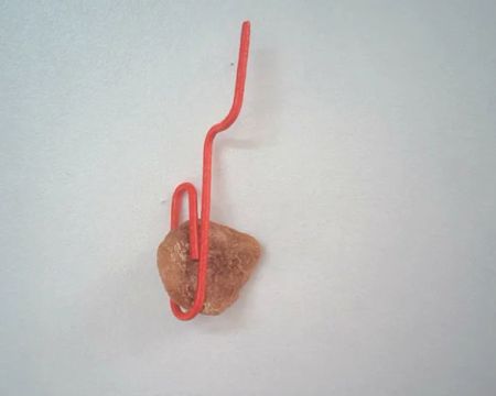 Put food on paper clip