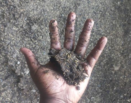 Testing the moisture - mixture stays in shape