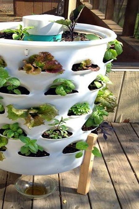 Ready made planting system with plants